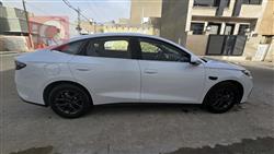 بي واي دي سيل 6